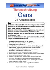 Gans.pdf